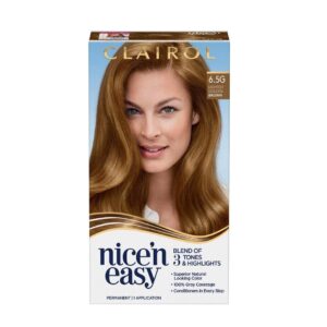 Clairol Niceneasy Lightest Golden Brown