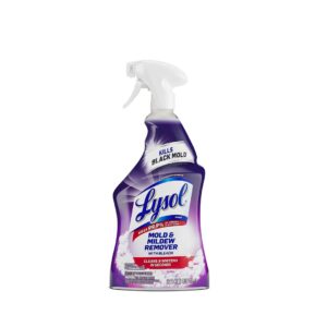 Lysol- Mold & Mildew Remover