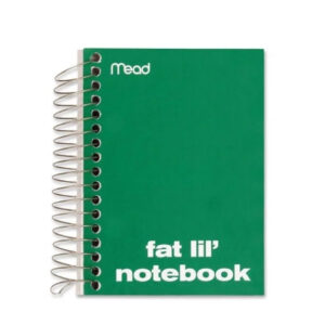 Mead Fat Lil Neatbook 200 Sheets