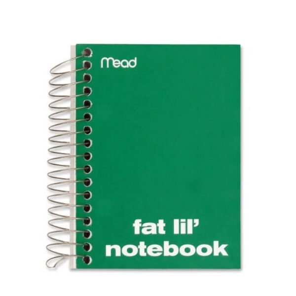 Mead Fat Lil Neatbook 200 Sheets